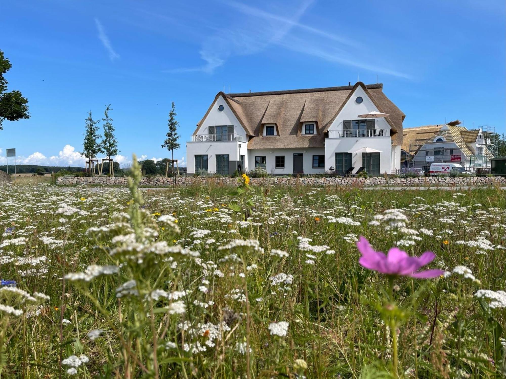 Villa Inseldomizil Stolpe - Urlaub Unter Reet Auf Usedom Stolpe auf Usedom Esterno foto